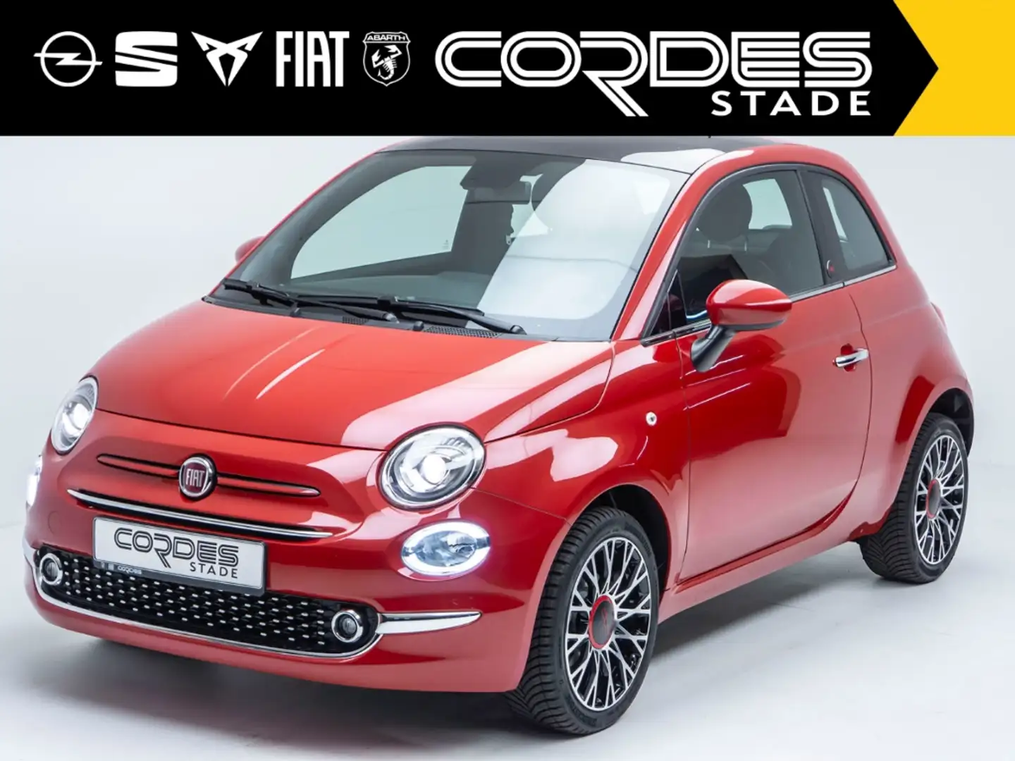 Fiat 500 Red 1.0 Mild Hybrid Klima PDC Navi (178) Rot - 2