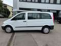 Mercedes-Benz Vito Kombi 111 CDI kompakt lang 9 sitzen Tüv neu Weiß - thumbnail 8