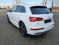 Audi Q5 55 TFSI e quattro sport/Standheizung/Virtual/ Weiß - thumbnail 5