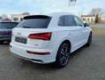Audi Q5 55 TFSI e quattro sport/Standheizung/Virtual/ Weiß - thumbnail 7