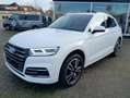 Audi Q5 55 TFSI e quattro sport/Standheizung/Virtual/ Weiß - thumbnail 3