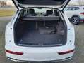 Audi Q5 55 TFSI e quattro sport/Standheizung/Virtual/ Weiß - thumbnail 21