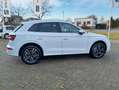 Audi Q5 55 TFSI e quattro sport/Standheizung/Virtual/ Weiß - thumbnail 8