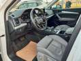 Audi Q5 55 TFSI e quattro sport/Standheizung/Virtual/ Weiß - thumbnail 10