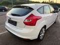 Ford Focus Trend 1,6 TDCi DPF Weiß - thumbnail 7