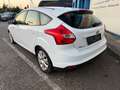 Ford Focus Trend 1,6 TDCi DPF Weiß - thumbnail 5