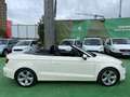 Audi A3 Cabrio 1.6TDI CD Ambition Wit - thumbnail 5