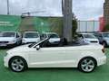 Audi A3 Cabrio 1.6TDI CD Ambition Wit - thumbnail 6