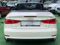 Audi A3 Cabrio 1.6TDI CD Ambition Wit - thumbnail 23
