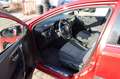 Toyota Auris Hybrid 1,8l Team Deutschland 3J Garantie Rot - thumbnail 4