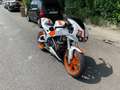 Buell Firebolt XB Firebolt XB9R Blanco - thumbnail 6