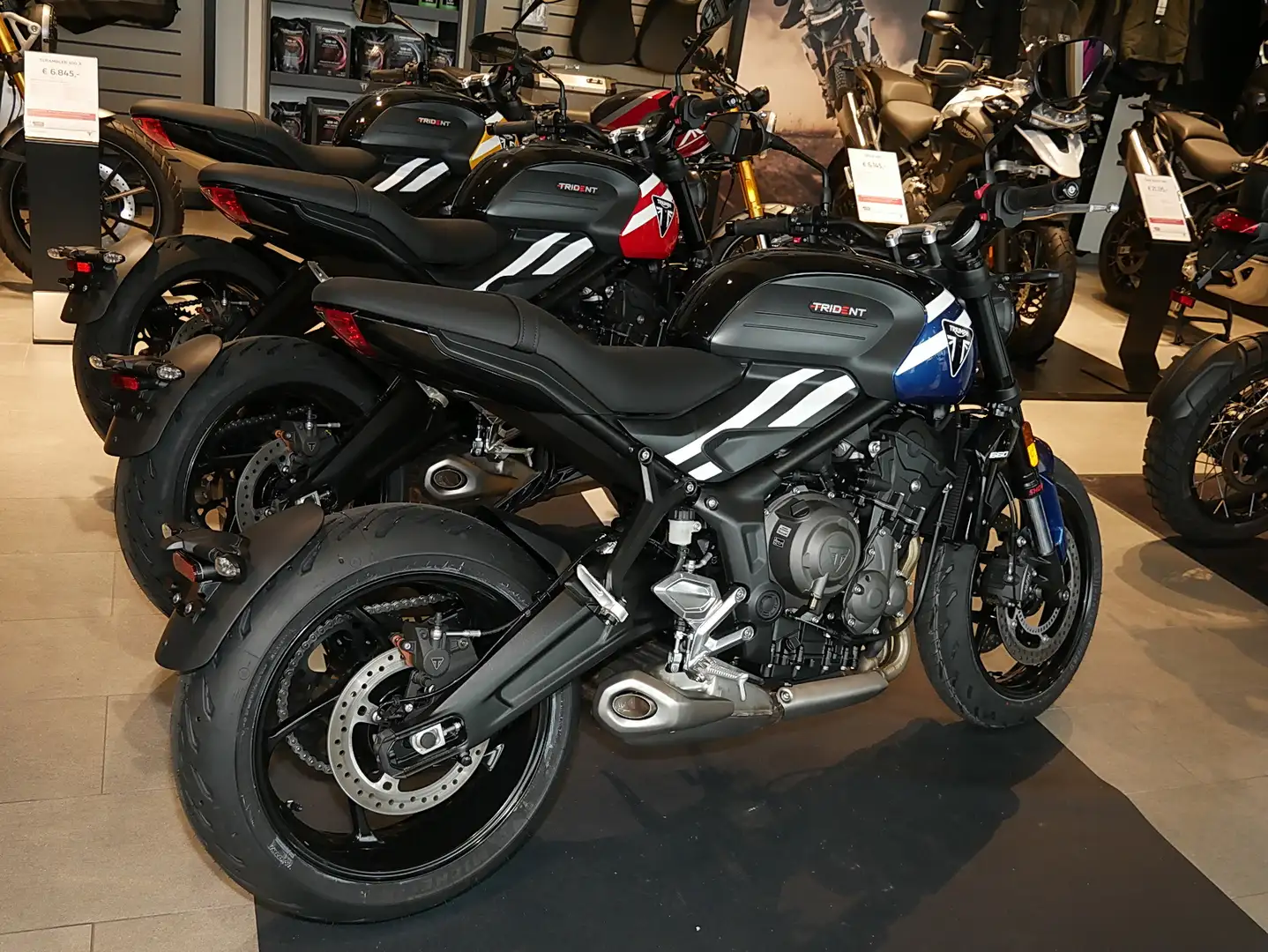 Triumph Sofort Verfügbar Bleu - 2