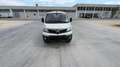 Piaggio Porter NP6 SW LR GPL 3070/2800 Ribaltabile TOP Bianco - thumbnail 2