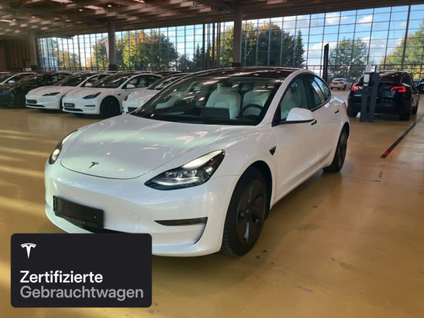 Tesla Model 3 Long Range AWD Weiß - 2