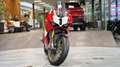 Ducati Superbike *Null Km* Rot - thumbnail 10