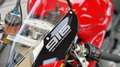 Ducati Superbike *Null Km* Rot - thumbnail 15