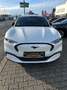 Ford Mustang Mach-E Premium AWD 1.HAND TECHNOLOGIEP. Blanc - thumbnail 6