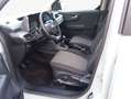 Ford Tourneo Courier 1.0 EcoBoost TREND 92 kW, 5-türig Gri - thumbnail 7