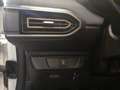 Dacia Sandero Stepway Expression TCe 90PS Weiß - thumbnail 16