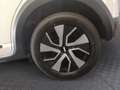 Dacia Sandero Stepway Expression TCe 90PS Weiß - thumbnail 13