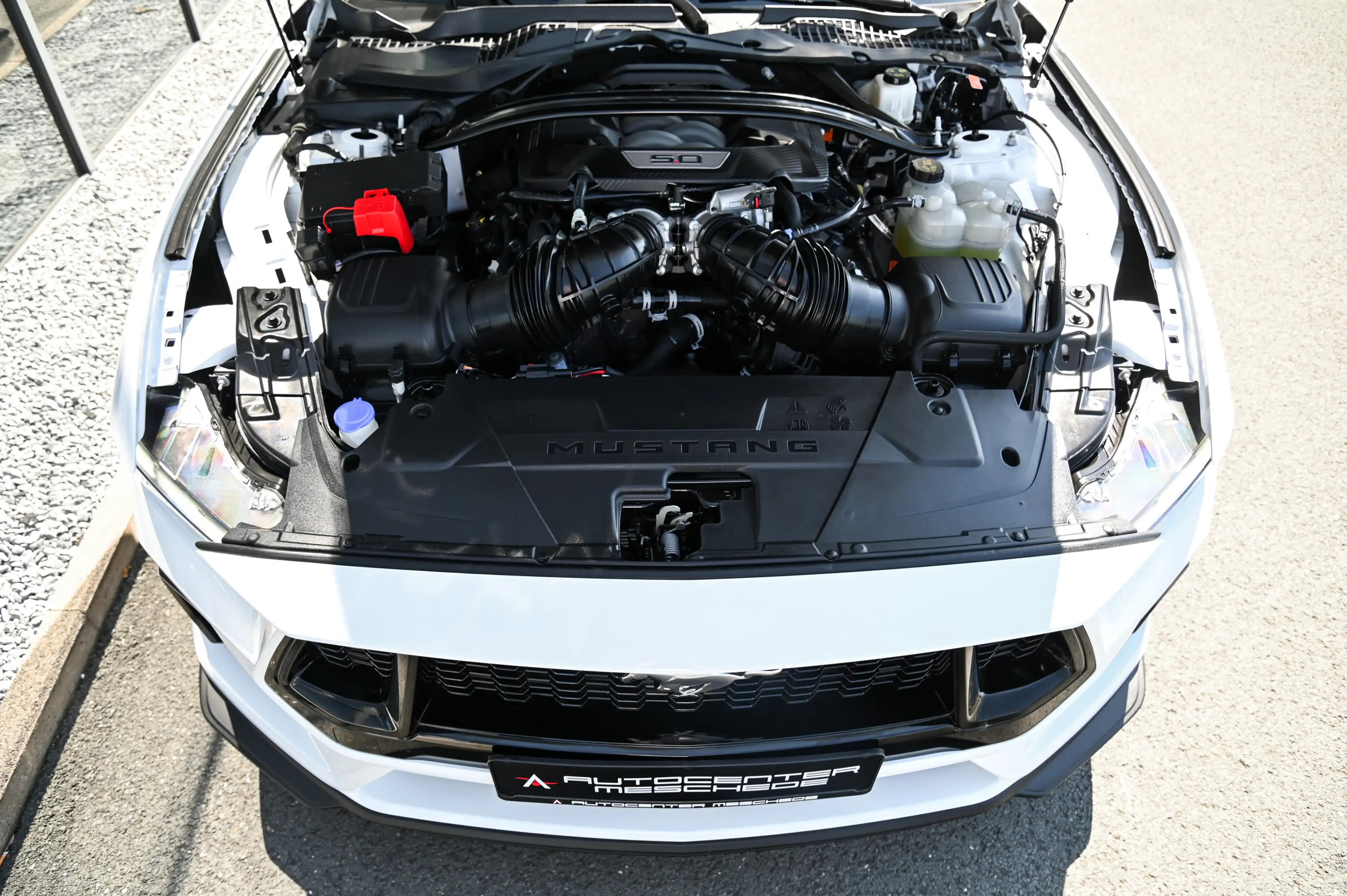 Ford Mustang 5.0 Ti-VCT V8 GT Aut. Navi* B&O* Kamera* — photo 7