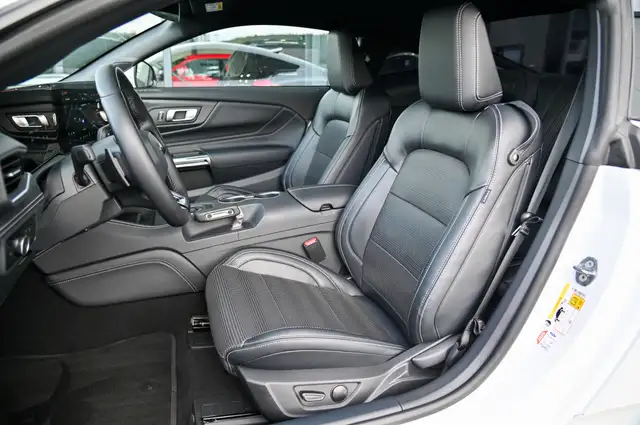 Ford Mustang view 11