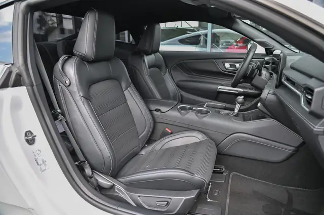 Ford Mustang view 12