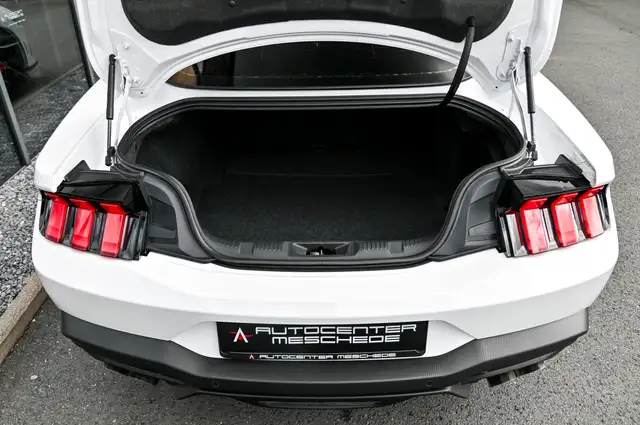 Ford Mustang view 8