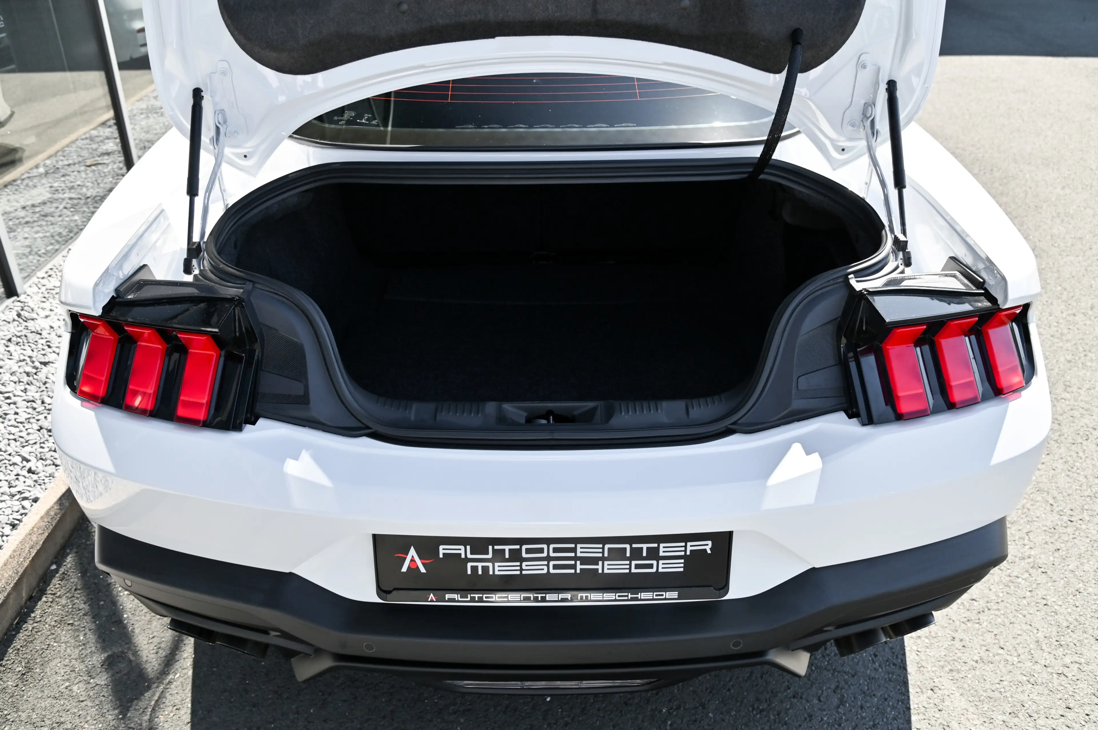 Ford Mustang 5.0 Ti-VCT V8 GT Aut. Navi* B&O* Kamera* — photo 8