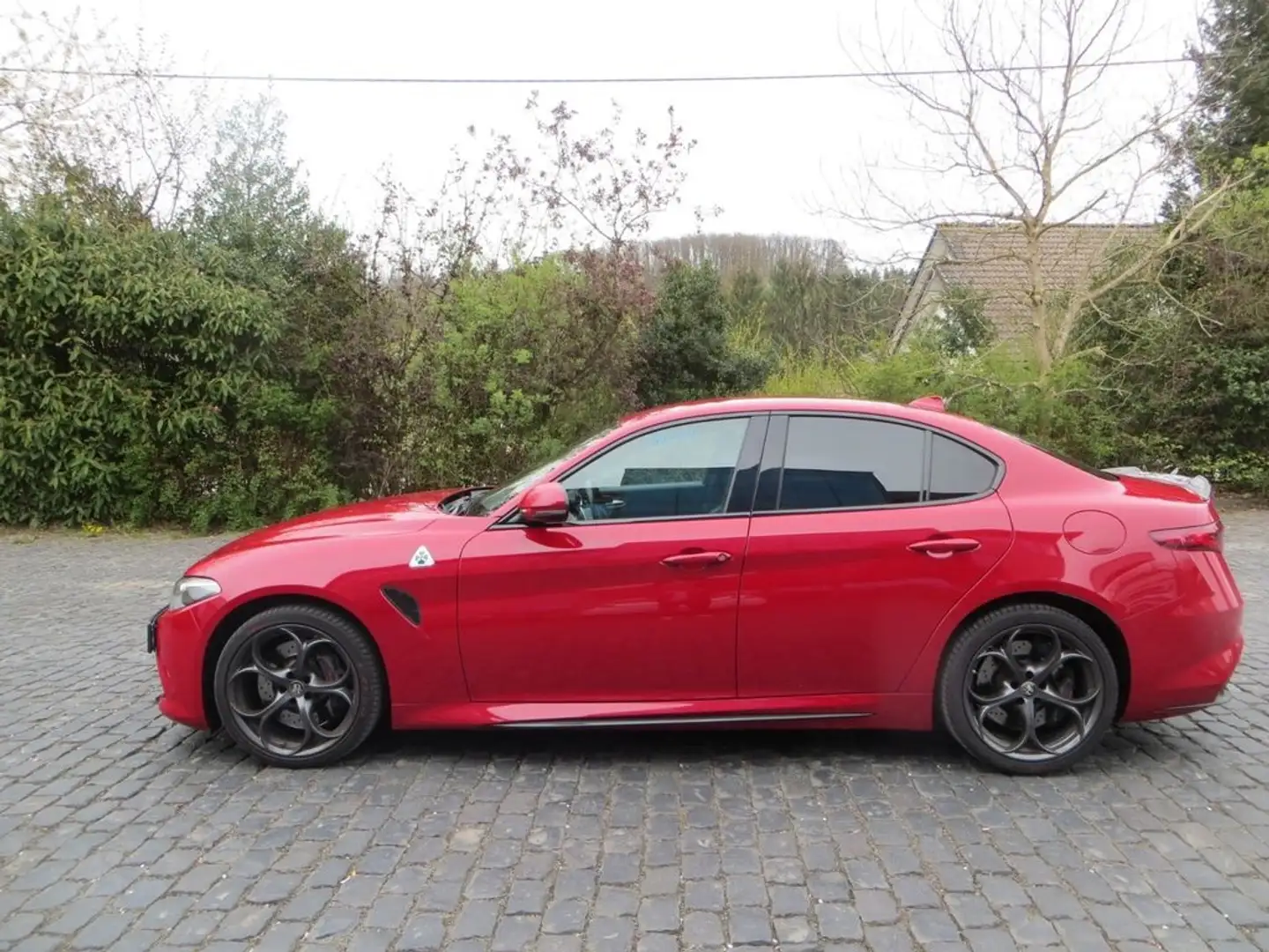 Alfa Romeo Giulia 2.9 T Quadrifoglio Aut. 510 Rojo - 2