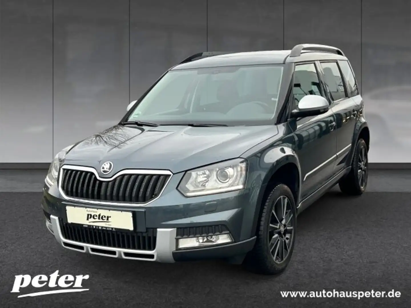Skoda Yeti Yeti 1.8 TSI Adventure 4x4 Climatronic Sitzheizung Šedá - 1
