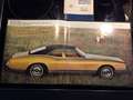 Buick Riviera 7.0 Grün - thumbnail 19