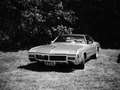 Buick Riviera 7.0 Grün - thumbnail 10