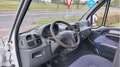 Chausson 244 55 DOUCHE/LUIFEL Wit - thumbnail 18