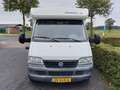 Chausson 244 55 DOUCHE/LUIFEL Wit - thumbnail 1