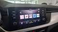 Skoda Scala Drive 125 AHK SmartLink WinterRäder LED Blau - thumbnail 12