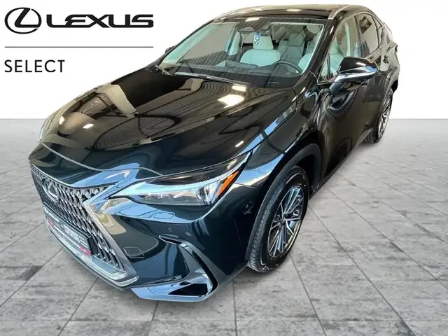 Lexus NX 350h 2.5 Hyb AWD EXECUTIVE LINE CVT