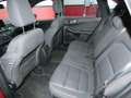 Ford Kuga 1.5 EcoB. Auto S&S ST-Line 4x2 150 Rojo - thumbnail 14