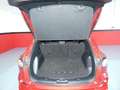 Ford Kuga 1.5 EcoB. Auto S&S ST-Line 4x2 150 Rojo - thumbnail 15