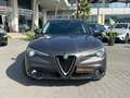 Alfa Romeo Stelvio Stelvio 2.2 t Business Q4 210cv auto Grigio - thumbnail 2