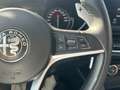 Alfa Romeo Stelvio Stelvio 2.2 t Business Q4 210cv auto Grigio - thumbnail 14