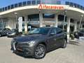 Alfa Romeo Stelvio Stelvio 2.2 t Business Q4 210cv auto Grigio - thumbnail 1