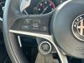 Alfa Romeo Stelvio Stelvio 2.2 t Business Q4 210cv auto Grigio - thumbnail 13