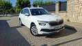 Skoda Kamiq 1.0 TSI Ambition 81kW DSG Blanco - thumbnail 19