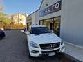 Mercedes-Benz ML 250 bt Sport 4matic auto Blanco - thumbnail 1