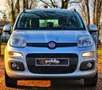 Fiat Panda *AUTOMATIK*KLIMA*NAVI*PDC*ERST 45 TKM* Gris - thumbnail 5