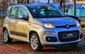 Fiat Panda *AUTOMATIK*KLIMA*NAVI*PDC*ERST 45 TKM* Gris - thumbnail 2