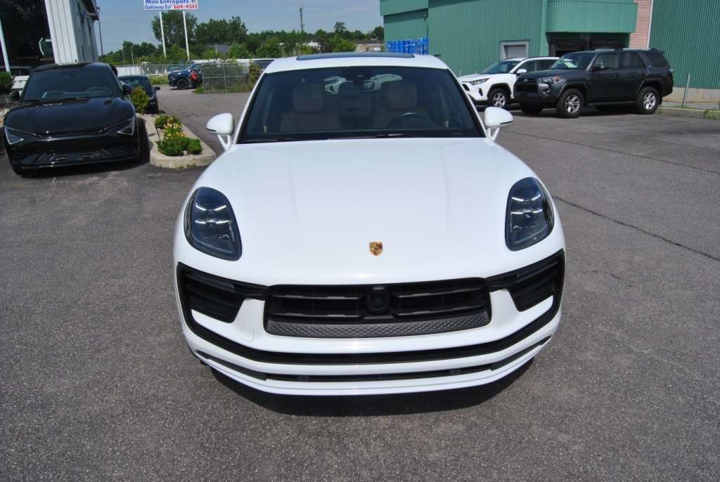 Image 7