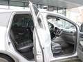 Ford Kuga 2.0 TDCI AWD INDIVIDUAL / AUTOMATIK / XENON Srebrny - thumbnail 11