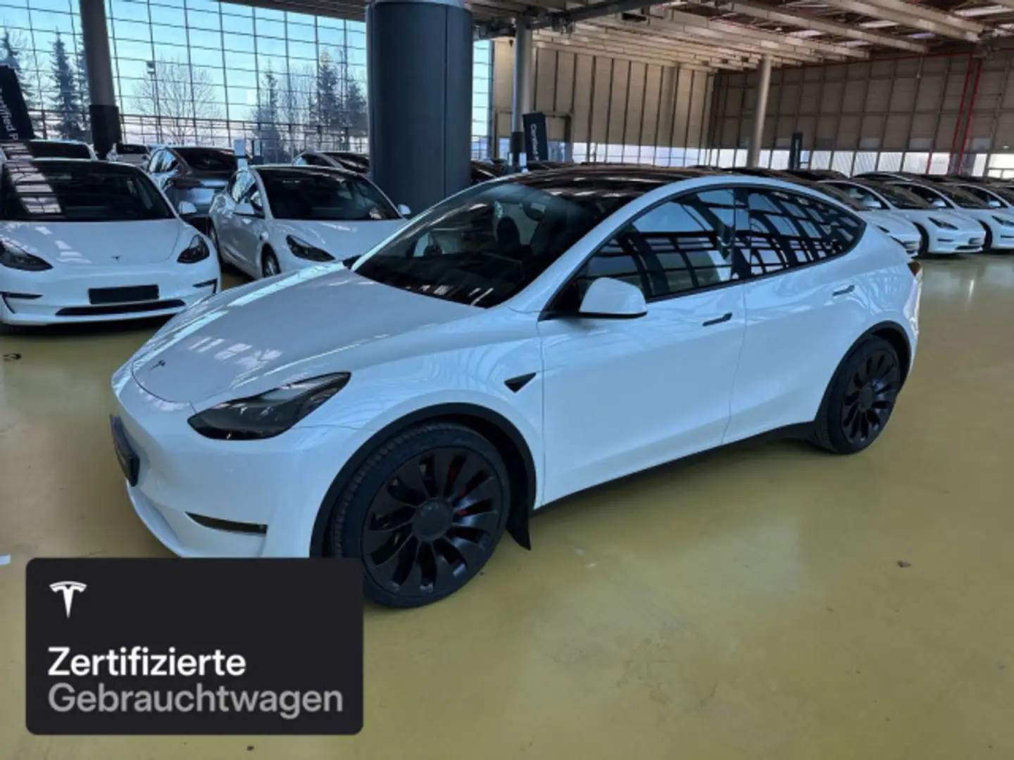 Tesla Model Y Performance Blanc - 1